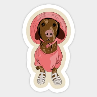 Biscuit in Pink Sticker